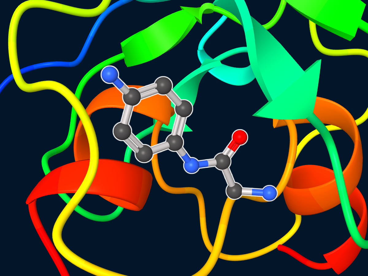 Protein ligand rendering