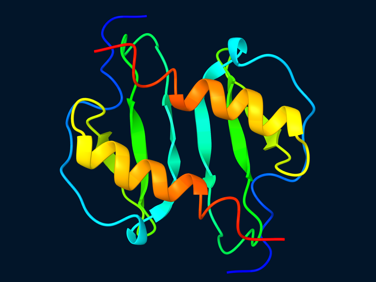 Protein cartoon rendering